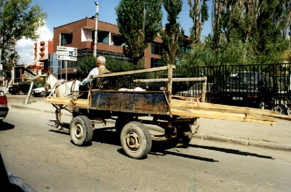 Tirana - Pferdefuhrwerk