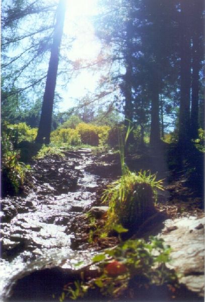 Weg mit Wasserkaskade