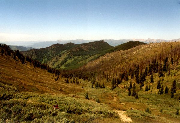 An der Baumgrenze
