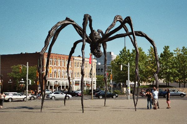 Ottawa - nette Spinne