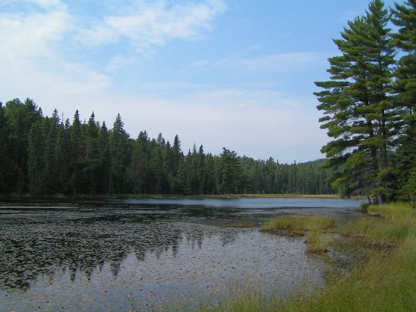 Algonquin Provencial Park - Biebersee
