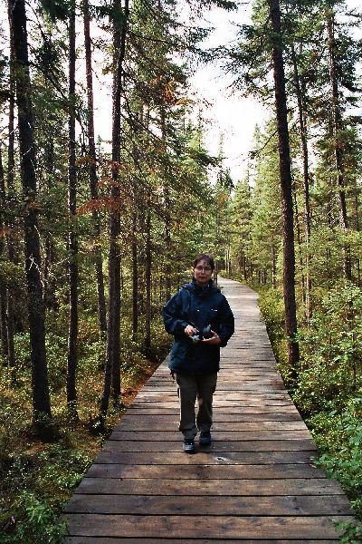 Algonquin Provencial Park - Wanderung