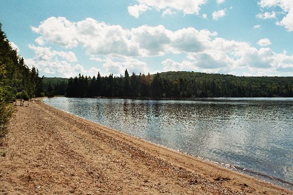 Algonquin Provencial Park - Natur pur
